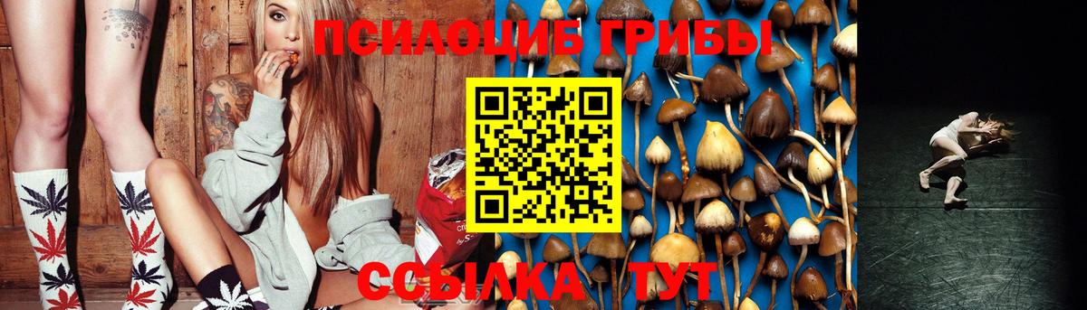 Ростов Великий  Галлюциногенные грибы Psilocybine cubensis  Вход с VPN 